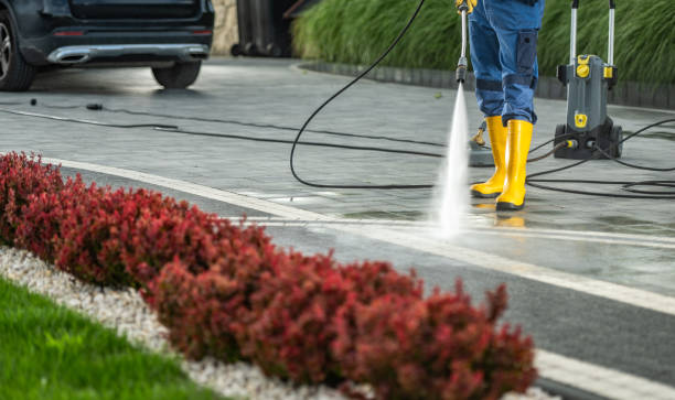 Professional Pressure Washing Services in Jamul, CA